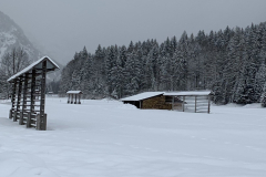 Kozolci zasneženi s snegom na turoben zimski dan.